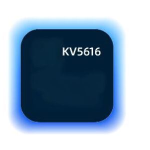KV5616